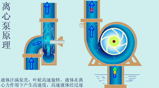 給（gei）水泵、給（ji）水泵別再傻傻分不清楚（內(nèi)含動(dòng)畫）