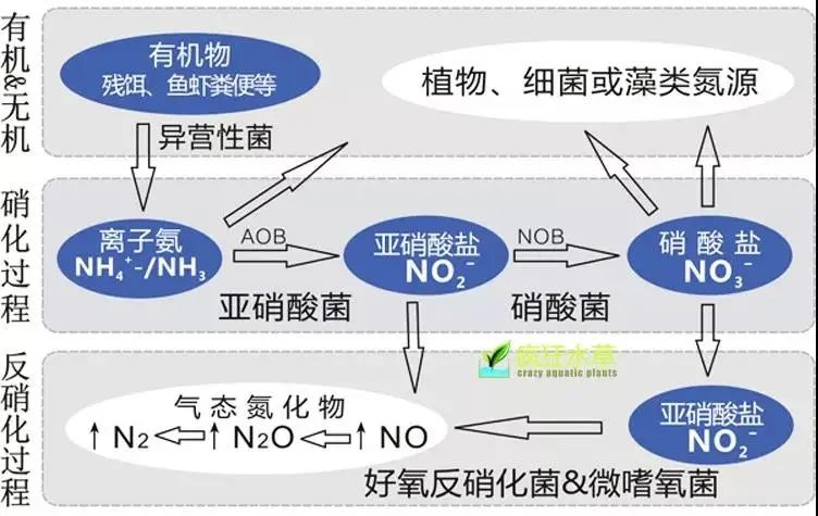 面對低濃度氨氮工業(yè)廢水束手無策?這幾種方法可以解決- 面對低濃度氨氮工業(yè)廢水束手無策?這幾種方法可以解決-