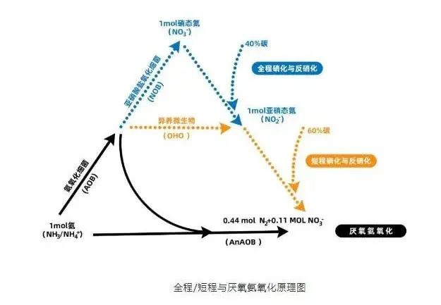 面對低濃度氨氮工業(yè)廢水束手無策?這幾種方法可以解決- 面對低濃度氨氮工業(yè)廢水束手無策?這幾種方法可以解決-